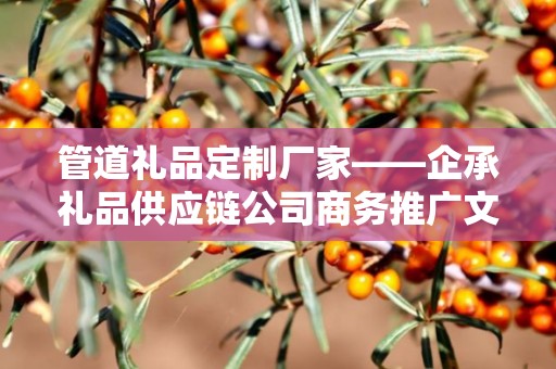 管道礼品定制厂家——企承礼品供应链公司商务推广文章